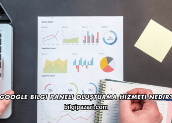 Google Bilgi Paneli Oluşturma Hizmeti Nedir?